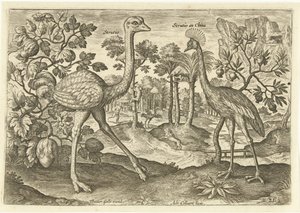 Dois pássaros que não voam em uma paisagem Avium Vivae (título da série) Aves (título da série) de Adriaen Collaert