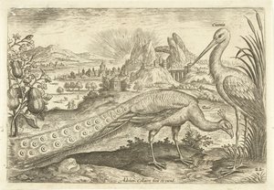 Dois pássaros numa paisagem
Avivm Vivae (título da série)
Pássaros (título da série) de Adriaen Collaert