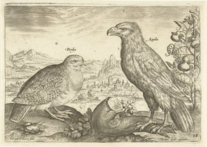 Dois pássaros numa paisagem
Avivm Vivae (título da série)
Pássaros (título da série) de Adriaen Collaert