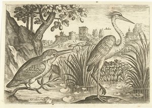 Dois pássaros em uma paisagem Aves (título da série) Avium Vivae (título da série) de Adriaen Collaert
