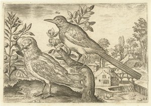 Dois pássaros em uma paisagem Aves (título da série) Avium Vivae (título da série) de Adriaen Collaert