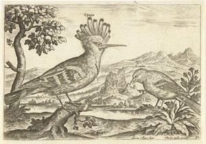 Dois pássaros em uma paisagem Aves (título da série) Avium Vivae (título da série) de Adriaen Collaert
