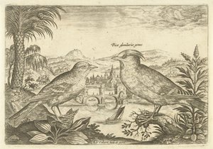 Dois pássaros em uma paisagem Aves (título da série) Avium Vivae (título da série) de Adriaen Collaert