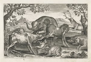 animais de luta Animais de quatro patas (título da série) Animalivm Qvaddrvpedvm (título da série) de Adriaen Collaert