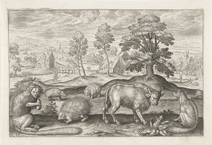 Animais diferentes Animais de quatro patas (título da série) Animalivm Qvaddrvpedvm (título da série) de Adriaen Collaert
