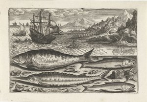 Quatro peixes na praia
Peixe (título da série)
Piscivm vivae icones (título da série) de Adriaen Collaert