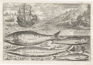 Quatro peixes na praia Pesca (título da série) Ícones de Piscium vivae (título da série) de Adriaen Collaert