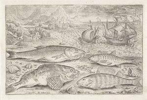 Quatro peixes na praia
Peixe (título da série)
Piscivm vivae icones (título da série) de Adriaen Collaert