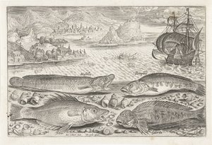 Quatro peixes na praia Pesca (título da série) Ícones de Piscium vivae (título da série) de Adriaen Collaert