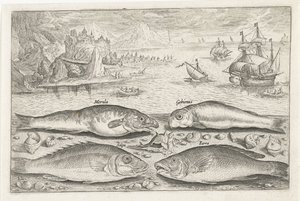 Quatro peixes na praia
Peixe (título da série)
Piscivm vivae icones (título da série) de Adriaen Collaert