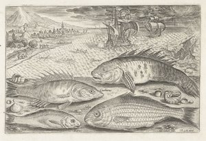 Quatro peixes na praia Pesca (título da série) Ícones de Piscium vivae (título da série) de Adriaen Collaert