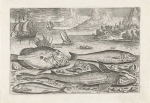 Quatro peixes na praia Pesca (título da série) Ícones de Piscium vivae (título da série) de Adriaen Collaert