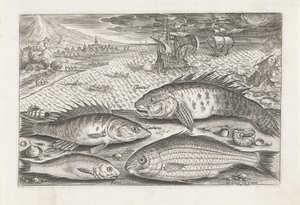 Quatro peixes na praia
Peixe (título da série)
Piscivm vivae icones (título da série) de Adriaen Collaert