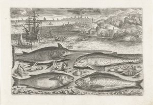 Quatro peixes na praia Pesca (título da série) Ícones de Piscium vivae (título da série) de Adriaen Collaert