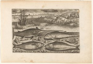 Quatro peixes na praia
Peixe (título da série)
Piscivm vivae icones (título da série) de Adriaen Collaert