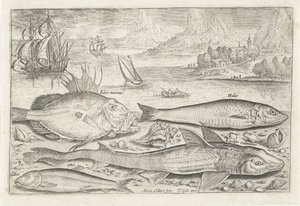 Quatro peixes na praia
Peixe (título da série)
Piscivm vivae icones (título da série) de Adriaen Collaert