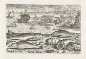 Cinco peixes na praia Pesca (título da série) Ícones de Piscium vivae (título da série) de Adriaen Collaert