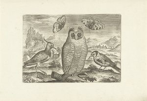 Pássaros e borboletas numa paisagem
Pássaros (título da série)
Avivm vivae (título da série) de Adriaen Collaert