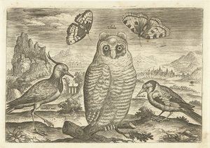 Pássaros e borboletas numa paisagem
Pássaros (título da série)
Avivm vivae (título da série) de Adriaen Collaert