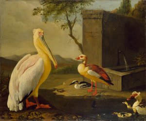 Oriental Birds, 1683