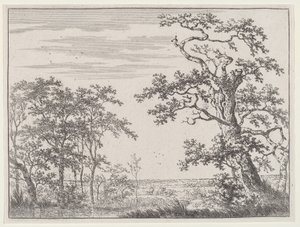 Paisagem com um riacho e uma árvore antiga de Adriaen Hendricks Verboom