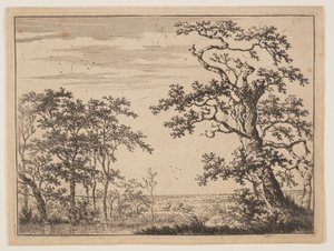 A lagoa de Adriaen Hendricksz. Verboom