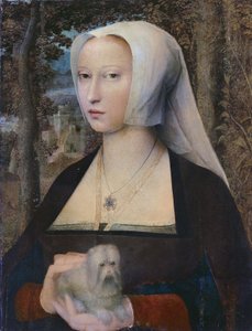 Retrato de uma senhora, a meio comprimento, com um cão