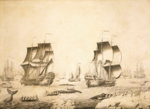 Baleeiros no gelo de Adriaen or Abraham Salm