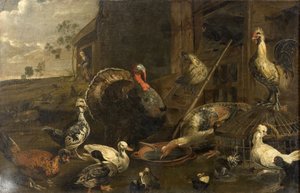 Galinhas, patos e um galo de peru