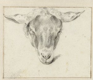 Cabeça de ovelha, de frente de Adriaen van de Velde (attributed to)