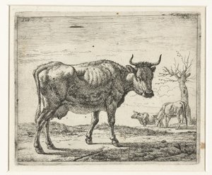 Três vacas
Vários animais (título da série) de Adriaen van de Velde