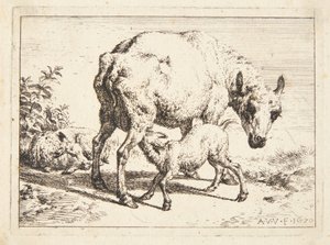 Ovelhas e dois cordeiros de Adriaen van de Velde