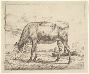 Pastando Bezerro, de Diferentes Animais, 1658. de Adriaen van de Velde