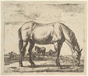 Cavalo pastando, de diferentes animais. de Adriaen van de Velde