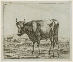  de Adriaen van de Velde