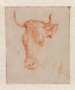 Cabeça de vaca de Adriaen van de Velde