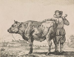 Homem, ficar, touro de Adriaen van de Velde