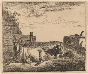 Cabras Reclinadas de Adriaen van de Velde