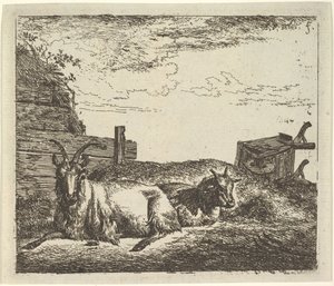 Cabras Recostadas, de Diferentes Animais. de Adriaen van de Velde