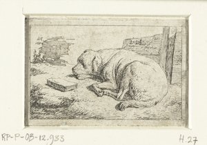 cachorro dormindo de Adriaen van de Velde