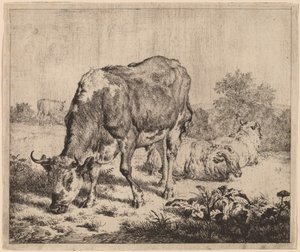 Touro malhado e três ovelhas de Adriaen van de Velde