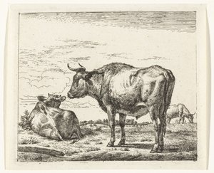 Touro em pé
Vários animais (título da série) de Adriaen van de Velde
