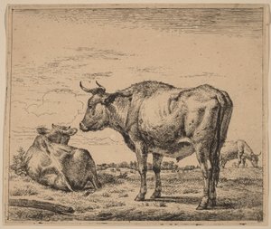 Touro de pé de Adriaen van de Velde