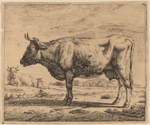 Duas vacas e uma ovelha de Adriaen van de Velde