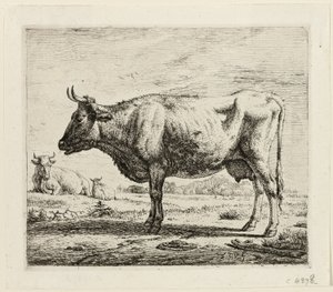 Duas vacas e uma ovelha de Adriaen van de Velde