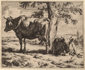 Duas vacas debaixo de uma árvore de Adriaen van de Velde