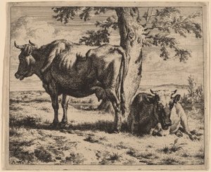 Two Cows under a Tree de Adriaen van de Velde