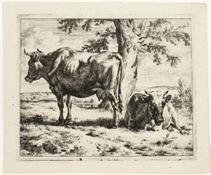 Duas vacas debaixo de uma árvore de Adriaen van de Velde