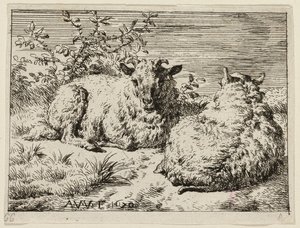 Duas ovelhas de Adriaen van de Velde