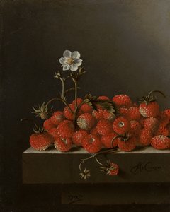Ainda vida com morangos silvestres, 1705 (óleo sobre papel no painel)